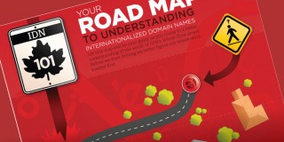 CIRA Internationalized Domain Names Education Tool Infographic